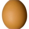 EggMong